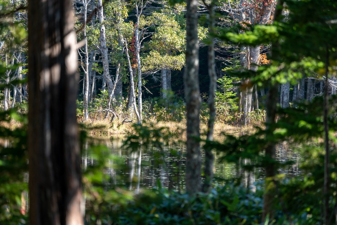 《羊蹄山之魂》总监承诺：将像前作一样忠实还原日本、美与危险的完美交融