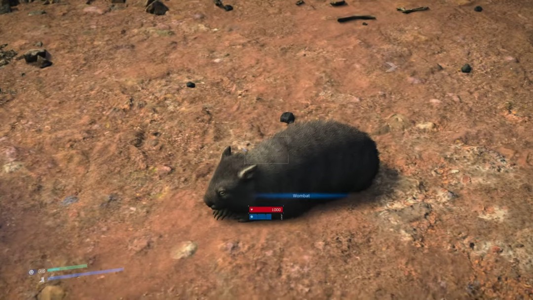 在土澳和袋鼠赛跑 《死亡搁浅2》中的野生动物生态