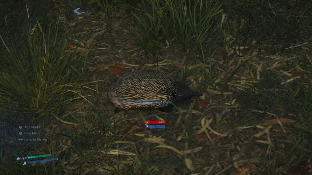 在土澳和袋鼠赛跑 《死亡搁浅2》中的野生动物生态