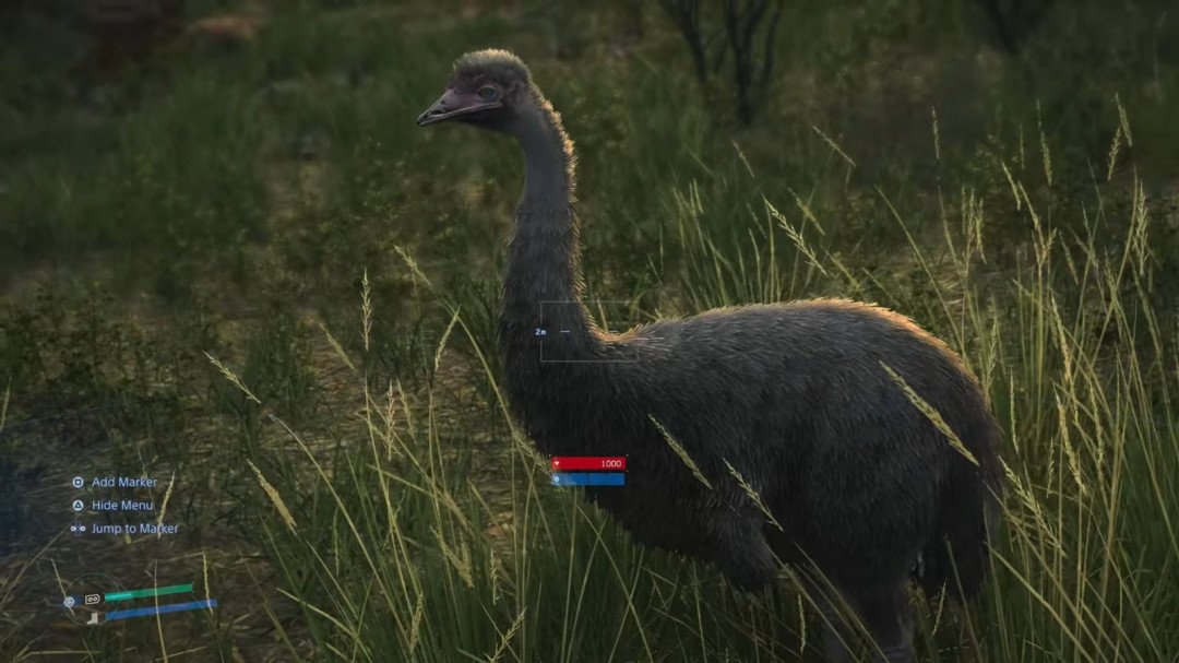 在土澳和袋鼠赛跑 《死亡搁浅2》中的野生动物生态