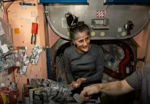 SpaceX龙飞船取消发射后 已确定新发射日期