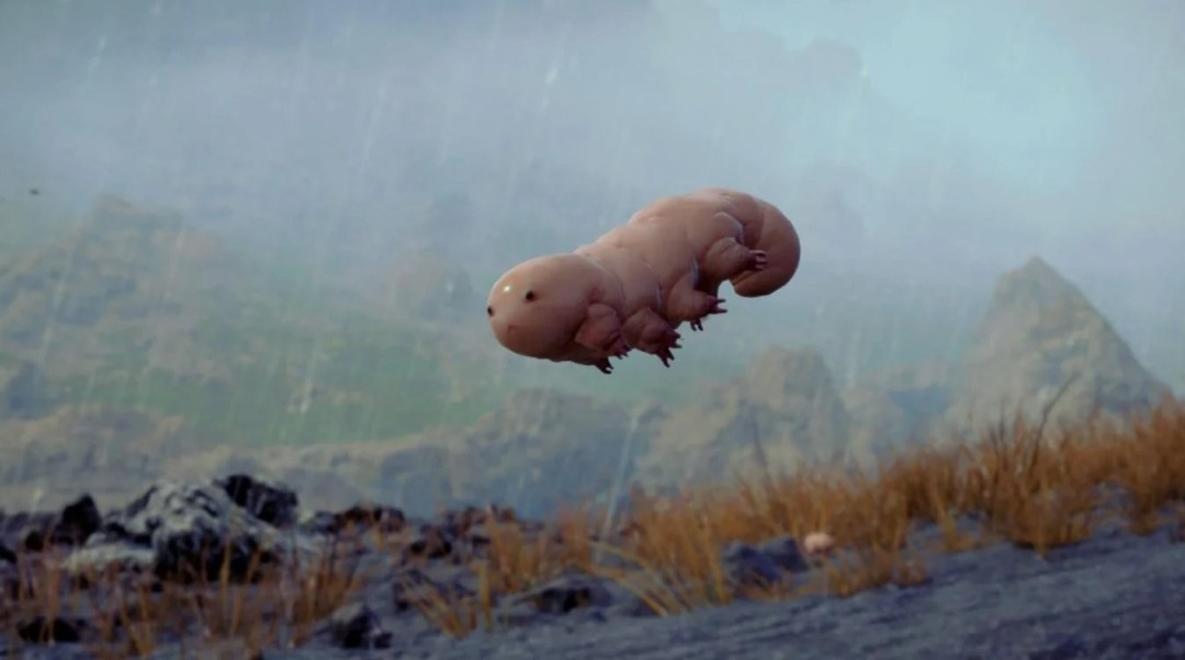 嘎嘣脆！ PS官方公布自制《死亡搁浅2》隐生虫配方