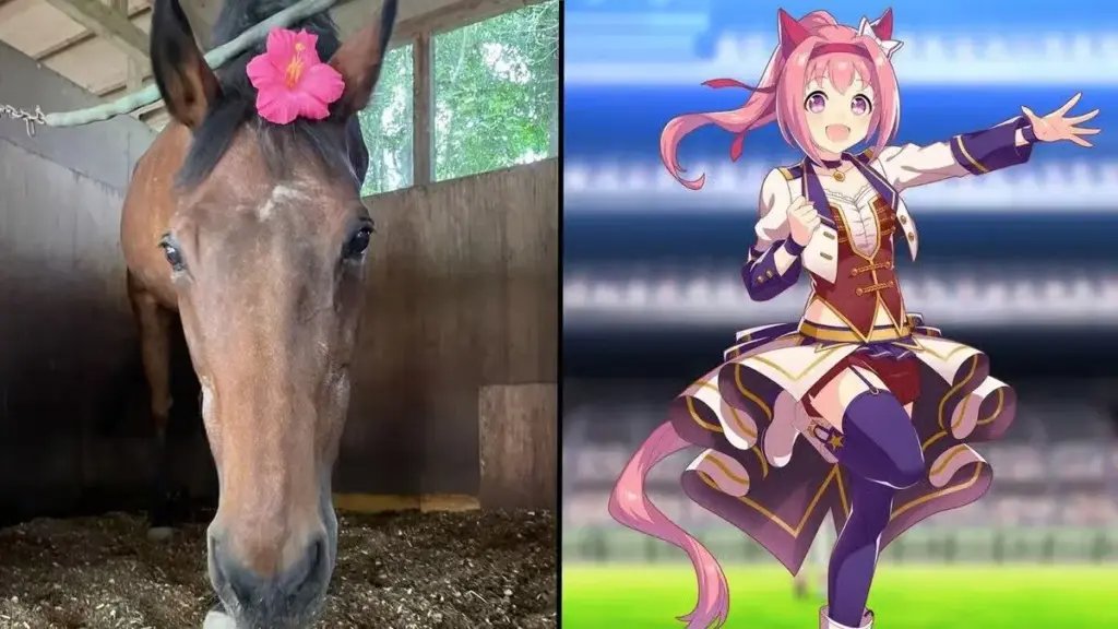 给系统干崩溃了 《赛马娘》春乌拉拉被粉丝送2吨牧草