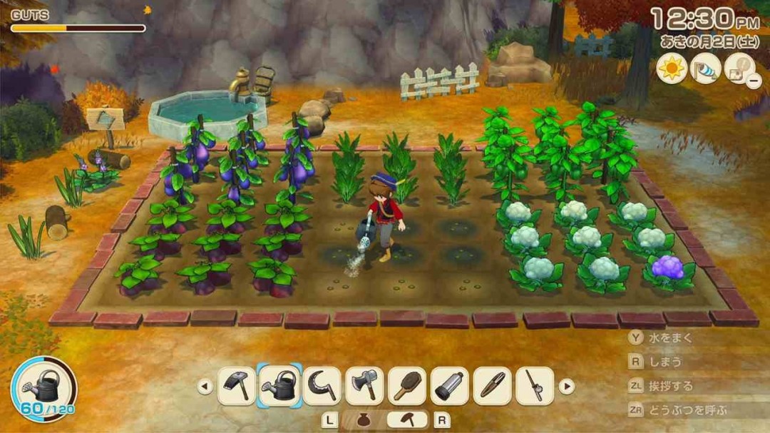 《牧场物语 来吧！风之繁华集市》 公开伴侣候选角色介绍！