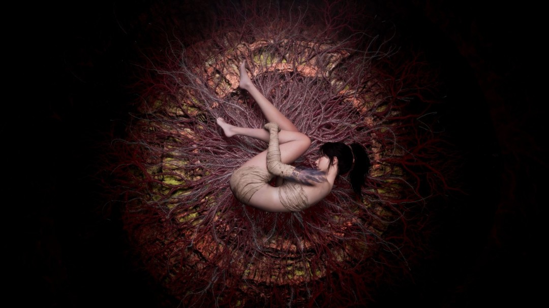 《明末：渊虚之羽》将支持PS5 Pro增强 更流畅更逼真