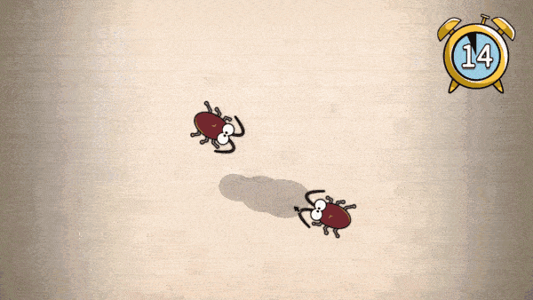 【低至1折】精品独立游戏好消息不断，Steam心动发行商特卖现已开启