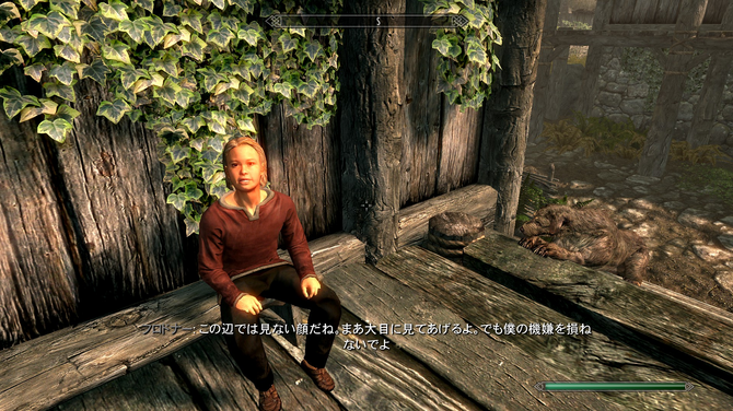 《上古5》玩家屠村后良心发现 询问如何孤儿找到新父母