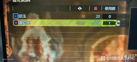 Bug补偿还有bug！《怪物猎人：荒野》补偿奖励无限领