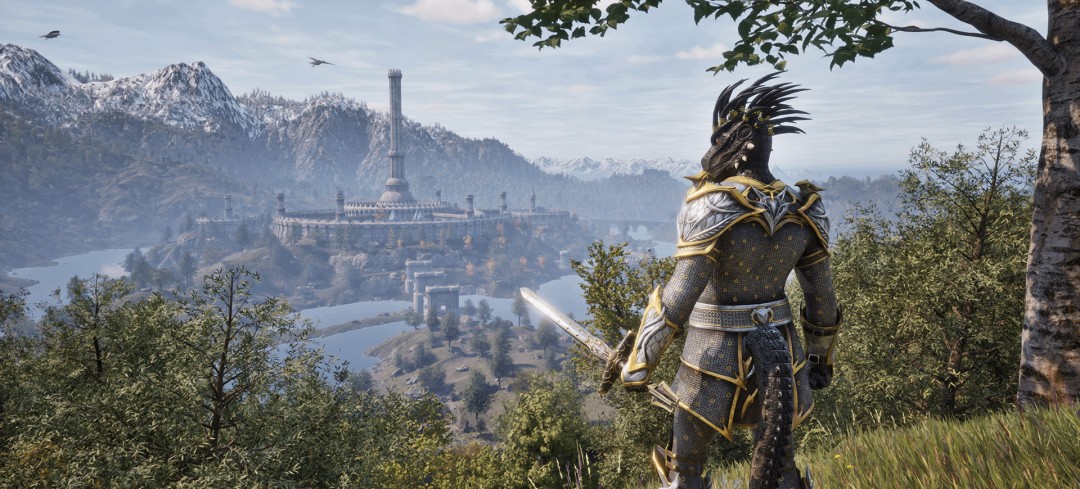 《上古卷轴4：重制版》开发商维塔士将进行大规模裁员