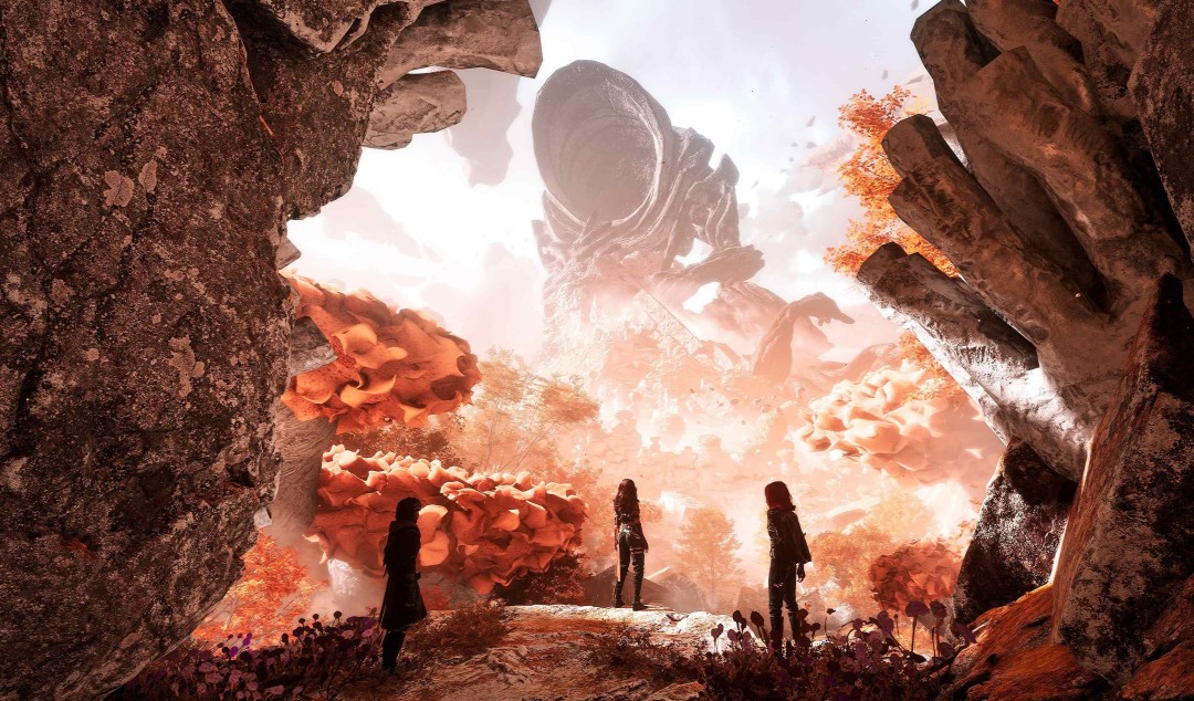 金亨泰造访《33号远征队》工作室 或将参与新项目？