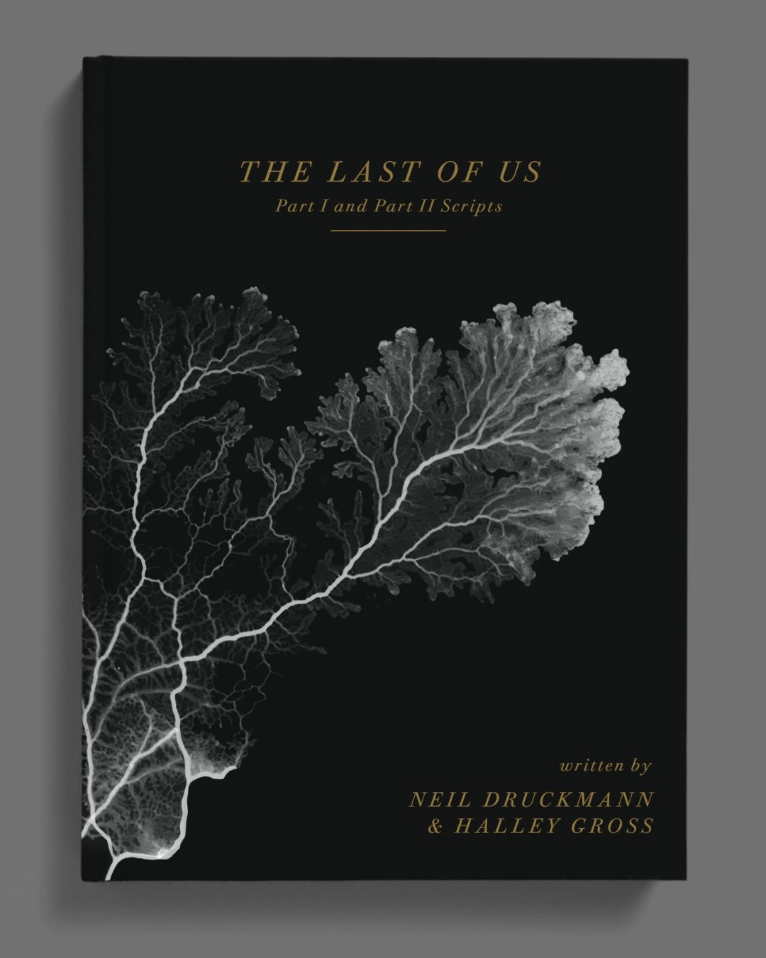 《最后的生还者》两部游戏剧本正式公开 618页合集12月发售