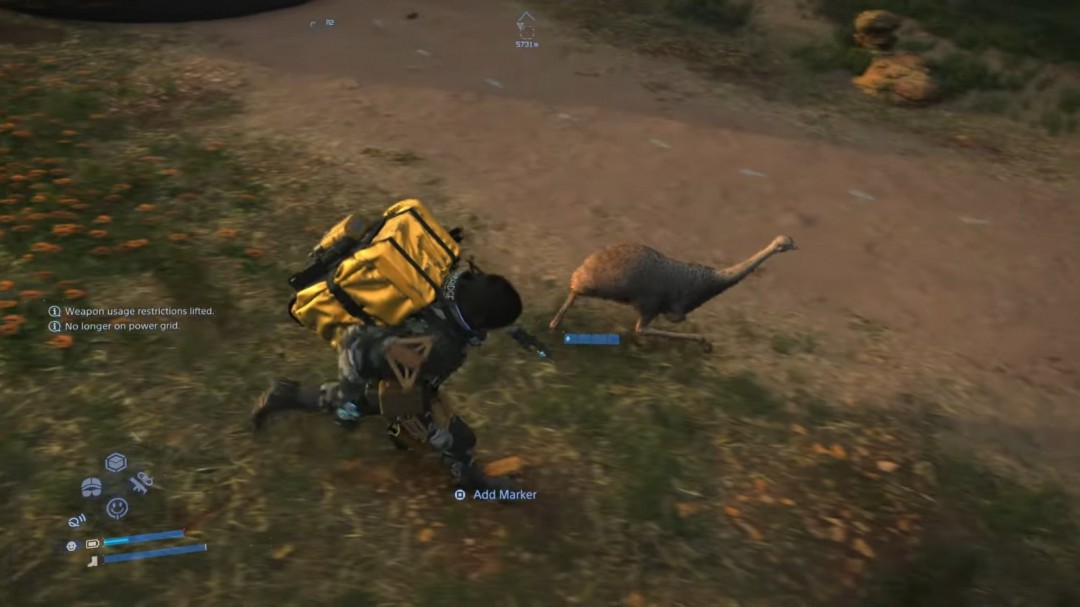 在土澳和袋鼠赛跑 《死亡搁浅2》中的野生动物生态