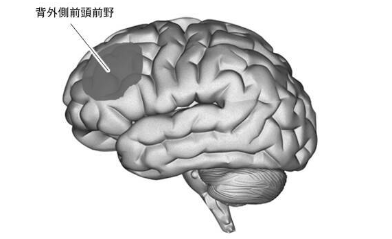 新研究论述游戏会提高智力 脑科学以及心理学双向推进