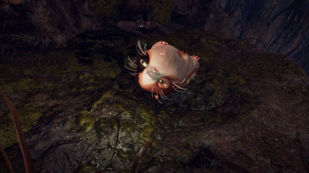 《仁王3》可爱猫型妖怪善擦返场 继续撸萌物