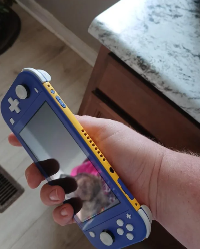 玩家晒个性拼色版Switch Lite引关注 实际7岁孩子无心之举