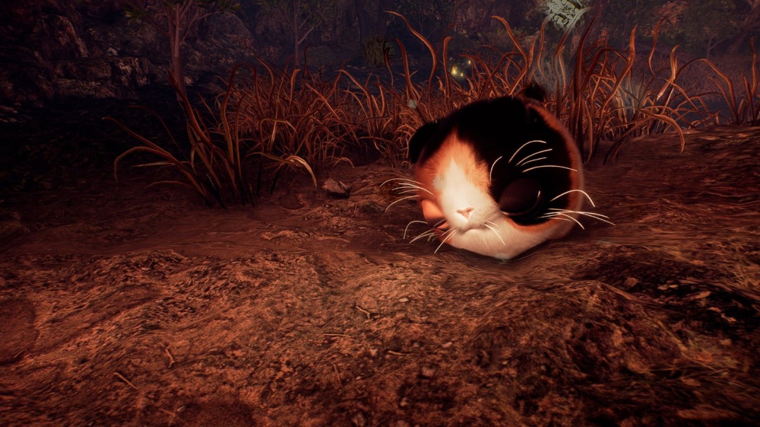 《仁王3》可爱猫型妖怪善擦返场 继续撸萌物