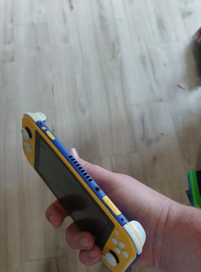 玩家晒个性拼色版Switch Lite引关注 实际7岁孩子无心之举