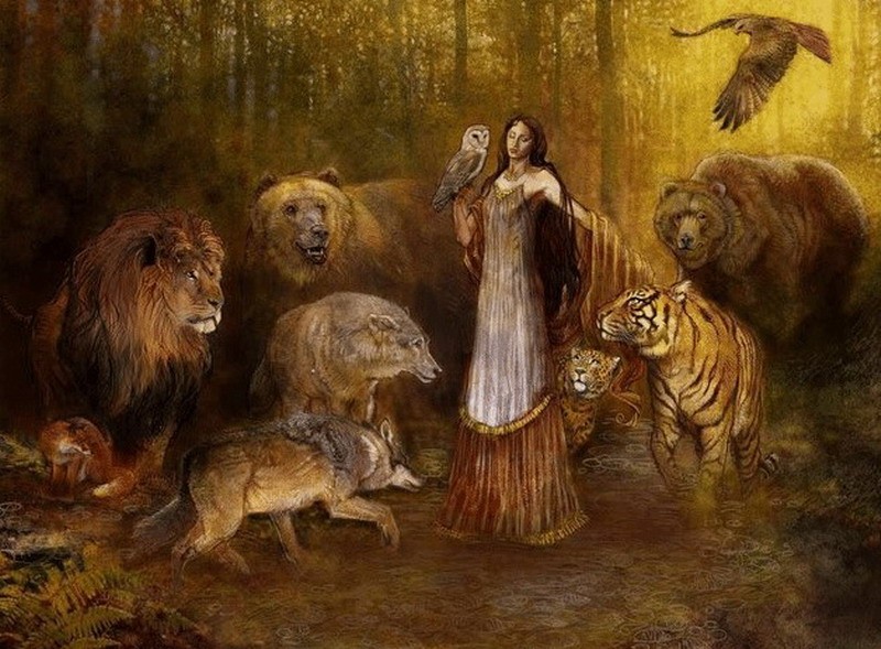 《巫师》小说作者透露叶奈法灵感来源：来自多位女神