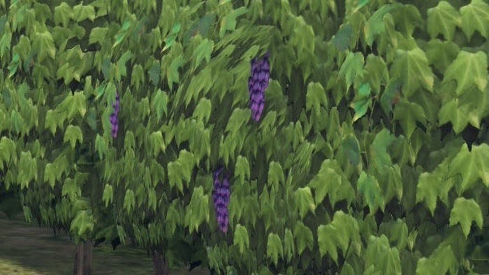 经典再现！《宝可梦传说 Z-A》葡萄园低模被调侃致敬《最终幻想14》