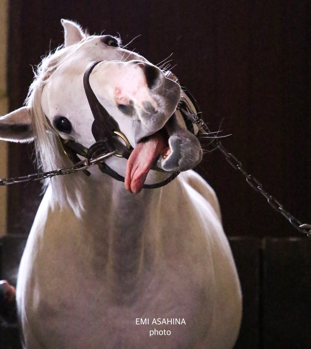 《赛马娘》官方紧急呼吁：请勿