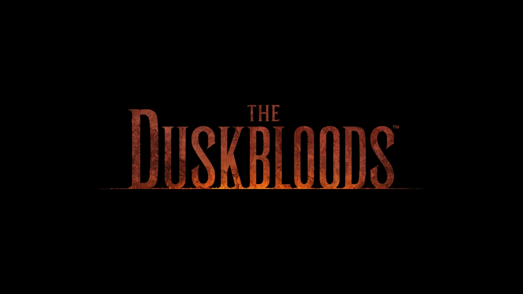 宫崎英高新作《The Duskbloods》首批截图 Switch 2独占