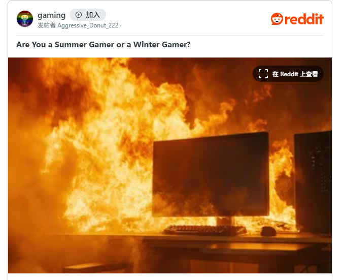 玩家热帖视点清奇 冬季还是夏季类型玩家有说法