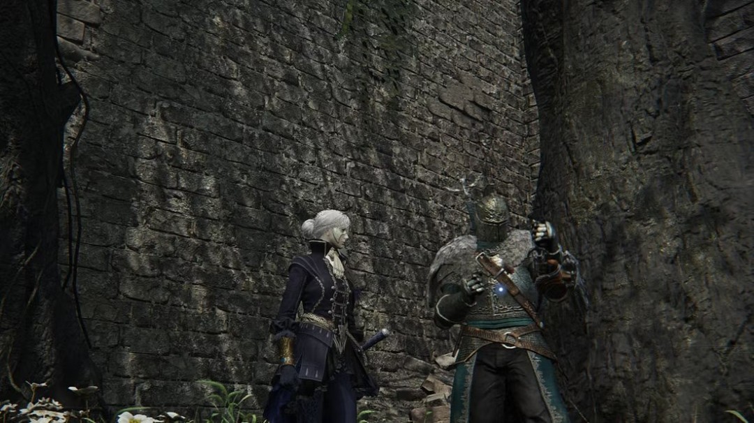 千呼万唤 《艾尔登法环：黑夜君临》双人模式正式上线