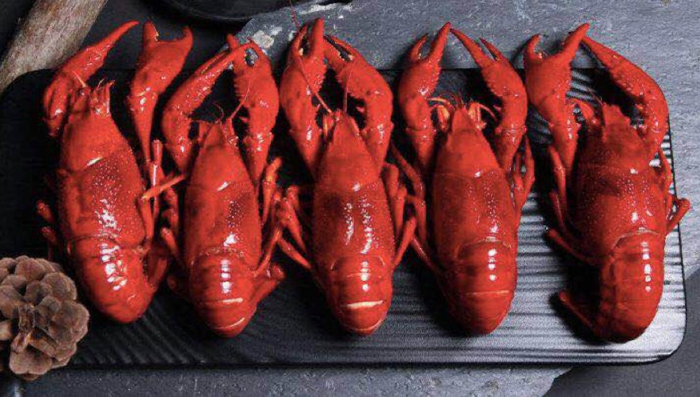 飞哥上品完结 6000 万元人民币 B 轮融资，将加快布局小龙虾供应链