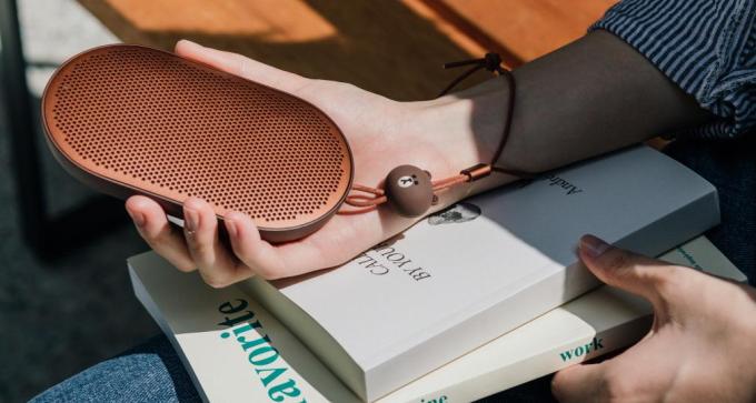 Bang & Olufsen Beoplay B2 Brown