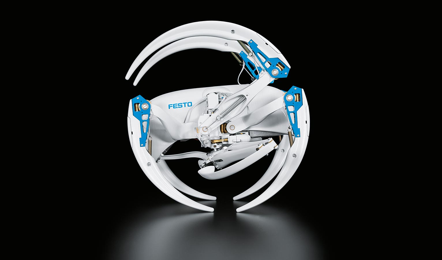 Festo 展现最新仿生机器人效果:会翻滚的蜘蛛机器人和蝙蝠机器人