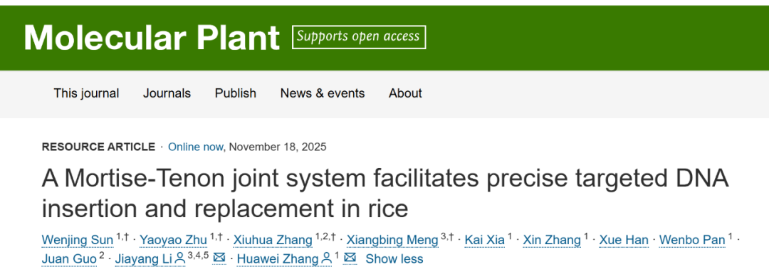 古建筑智慧走进DNA，我国科学家开发出新型基因编辑工具
