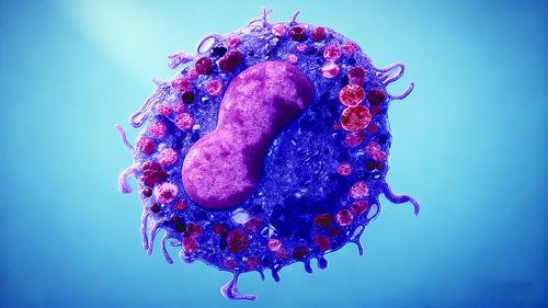 让癌细胞“过敏”，他们用“肥大细胞”治疗肿瘤