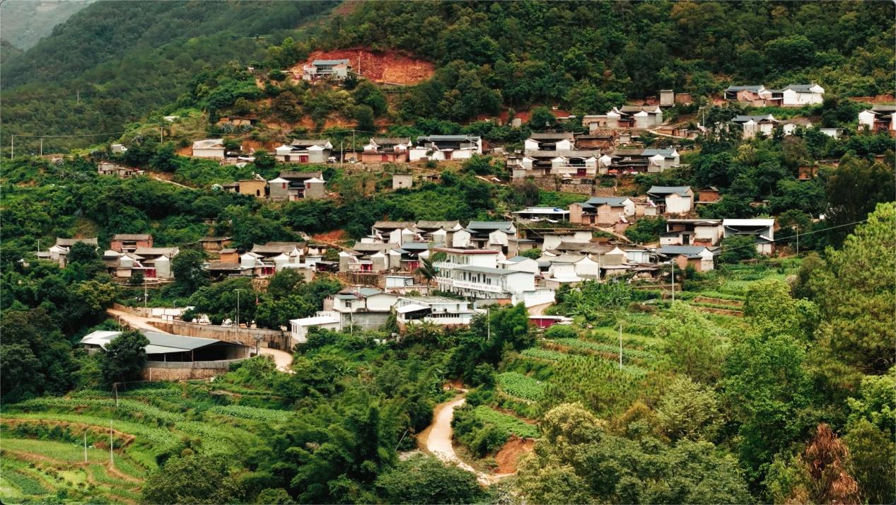 深度|让校园“动”起来,这两位校长做对了什么? 深度|让校园“动”起来,这两位校长做对了什么?