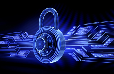 品牌网站建设案例