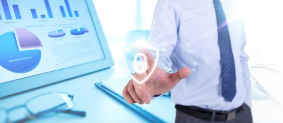 公司网站建设案例