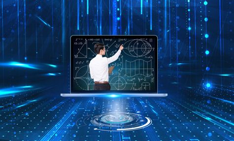 大型网站制作案例