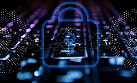 大型网站制作案例