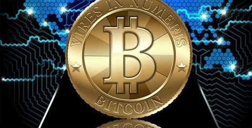 大型网站制作案例