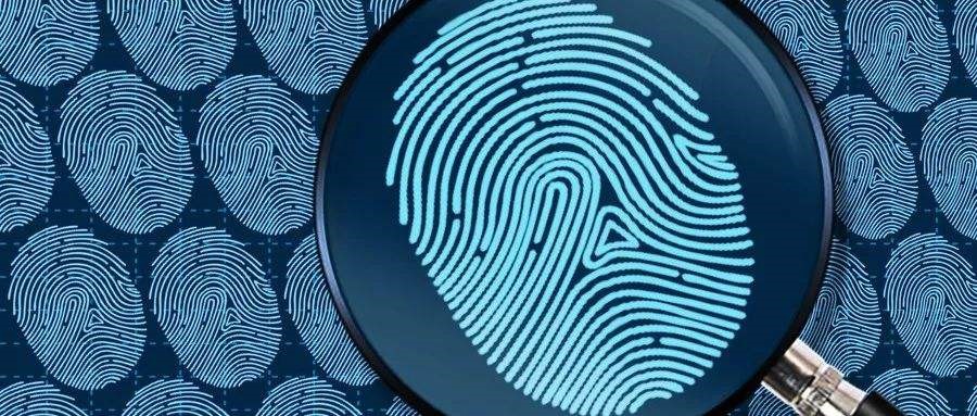 北京网站设计案例