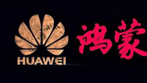 企业网站设计案例