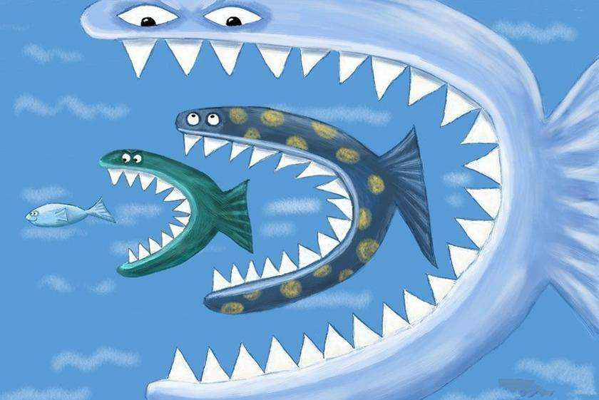 公司网站建设案例