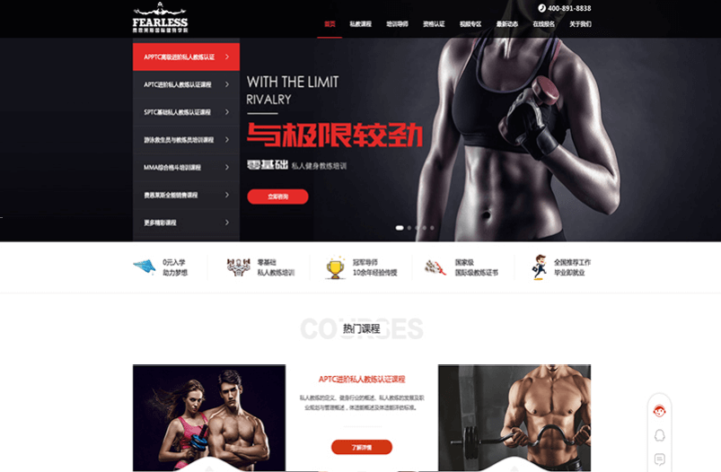 大型网站开发案例