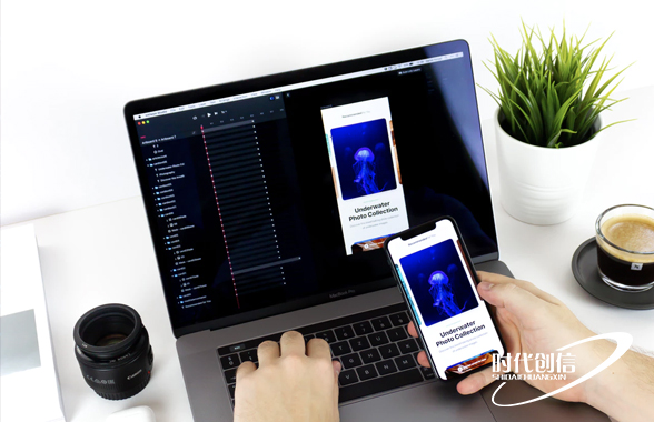 PA直营网站开发