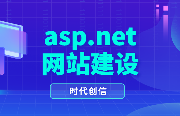 .net网站建设