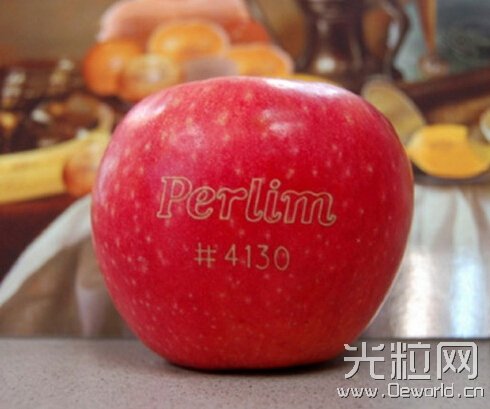 itb8888通博