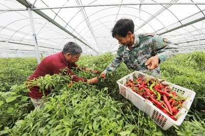 1762918216313352.jpg d3af5357d4f41654e879c06902c2b938_t0428f7e64c74912761.jpg