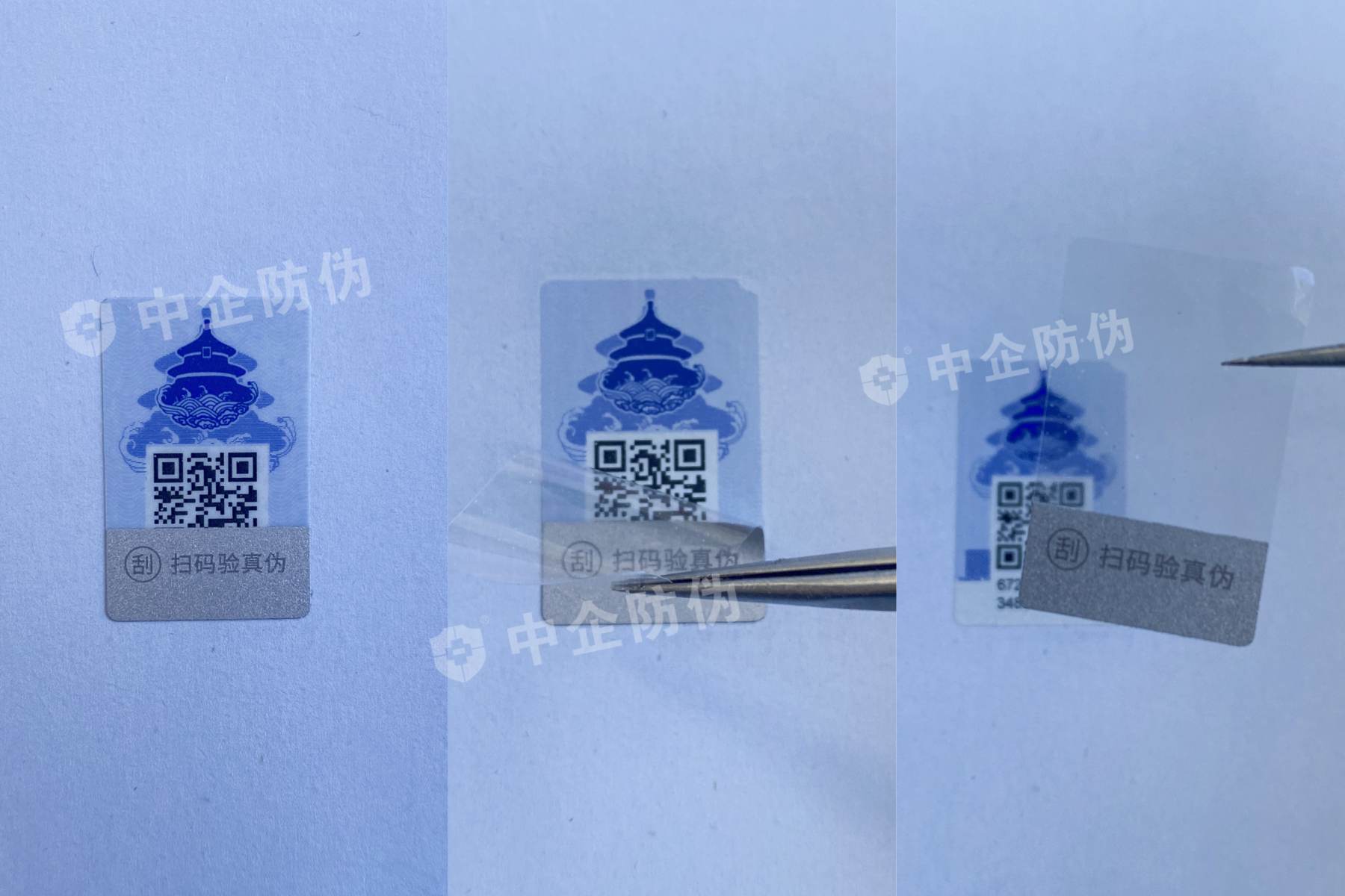 1728528535138073.jpg 三联图.jpg