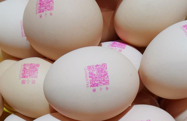 1721873897805664.jpg 下载.jpg