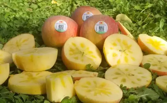 1717135634427855.jpg 1717135629282.jpg