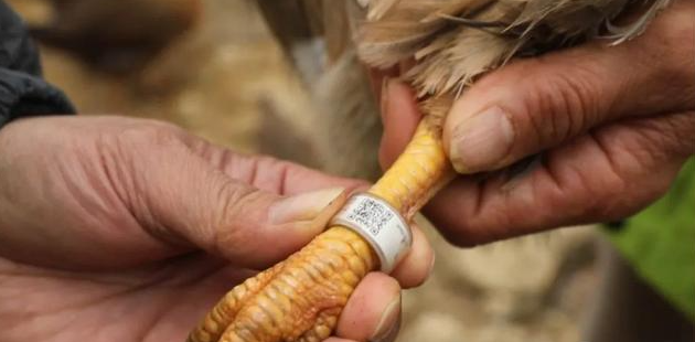 1742973849639369.png 企业微信截图_17429738463183.png